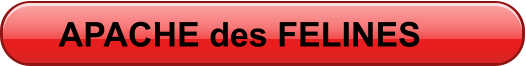 APACHE des FELINES