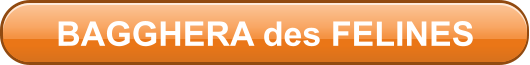 BAGGHERA des FELINES