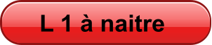 L 1  naitre