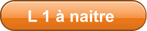 L 1  naitre