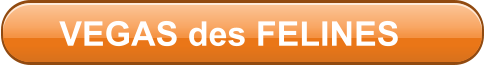 VEGAS des FELINES