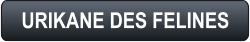 URIKANE DES FELINES