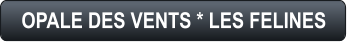 OPALE DES VENTS * LES FELINES