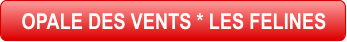 OPALE DES VENTS * LES FELINES