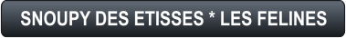 SNOUPY DES ETISSES * LES FELINES