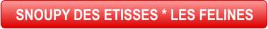 SNOUPY DES ETISSES * LES FELINES