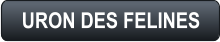 URON DES FELINES