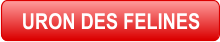 URON DES FELINES