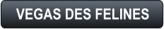 VEGAS DES FELINES