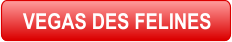 VEGAS DES FELINES