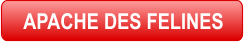 APACHE DES FELINES