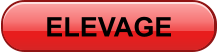 ELEVAGE