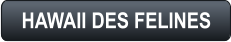 HAWAII DES FELINES