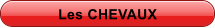 Les CHEVAUX