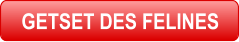 GETSET DES FELINES