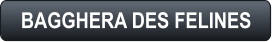 BAGGHERA DES FELINES