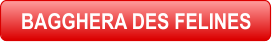BAGGHERA DES FELINES